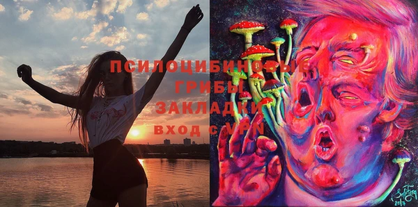 стаф Белокуриха