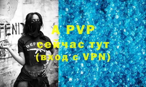 стаф Белокуриха